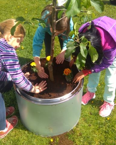 Summer Reuse with Schools