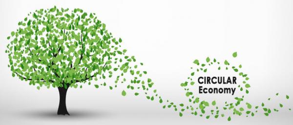 Circular Economy Tree