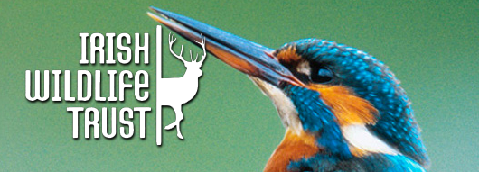 Irish Wildlife Trust 