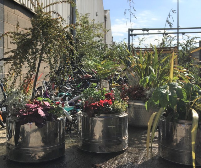 2020 11 planters IMG_0179 (2)